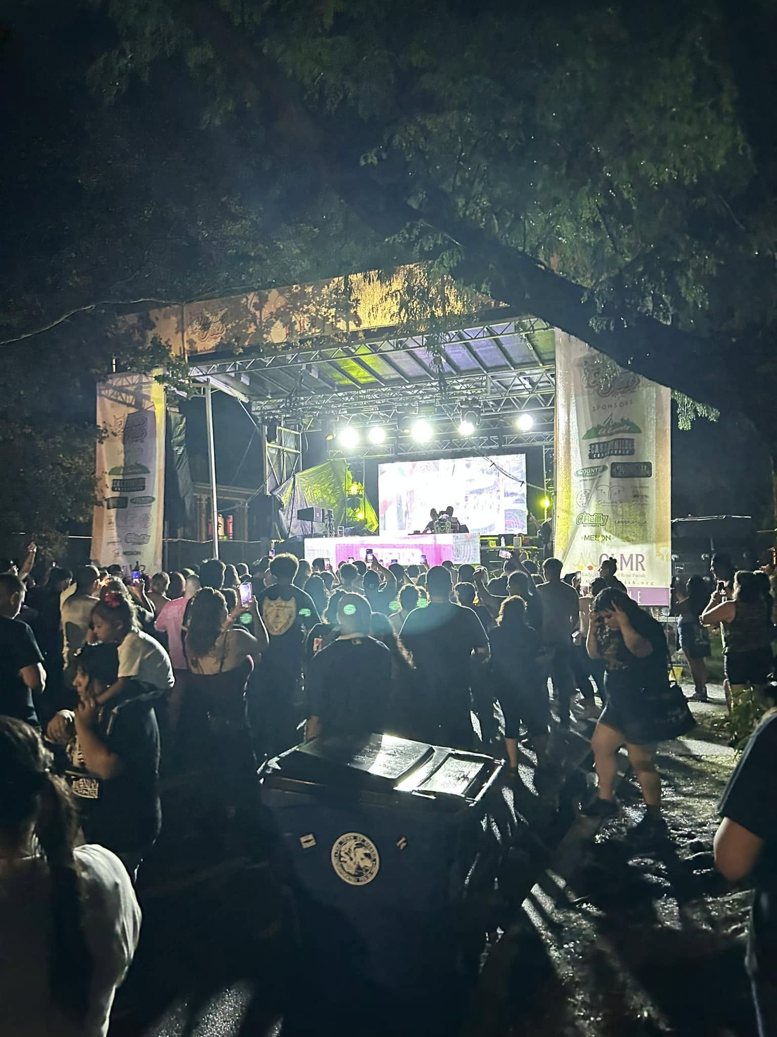 Dubstar Chicago Fire at Cicero House Music Festival LIve PA